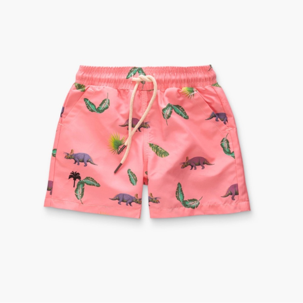 OAS Pink Dinosaur Print Kids Swim Trunks